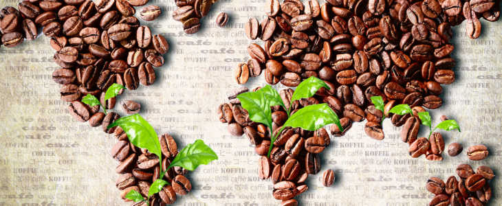 В каких странах выращивают кофе. Рейтинг регионов, где делают лучший кофе в мире.