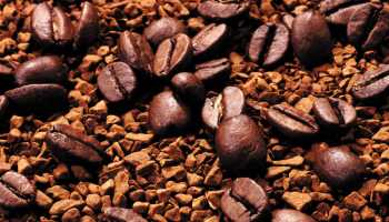 Самый вкусный растворимый кофе: лучшие марки сублимированного и молотого кофе
