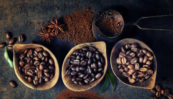 Кофе виды: описание разновидностей, способы приготовления вкусного кофе