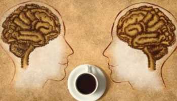 Кофе и его воздействие на организм человека при регулярном потреблении