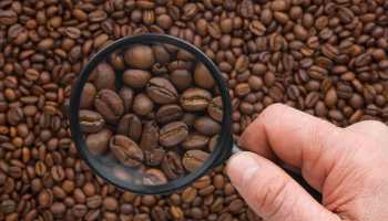 Как выбрать хороший зерновой кофе по упаковке